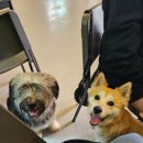 멍스 컨테이너 이미지