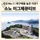 (주)소노인터내셔널 쏠비치리조트 | 소노호텔앤리조트 회원권, 시세차익 높은 이그제큐티브 기명 무기명 인기 급매물