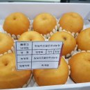 은주농장 이미지