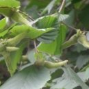 온탑농장 이미지