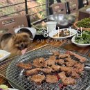 물소리N | [항아리집] 북수원 광교산 애견 동반 맛집 n번째 재방문 내돈내산