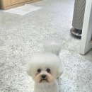 포즈티브 이미지