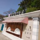 한국체대백궁태권도