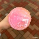 소망아울렛 | [공차]오사카 린쿠 프리미엄 아울렛 공차 일본 한정메뉴 시즌신메뉴
