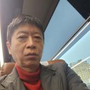 낙동강오리알 이미지