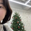 도교헤어살롱 | 의정부 고산동 미용실 도교헤어살롱_아윤채 두피클리닉