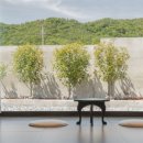 나진별채 이미지