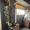 라무라 합정점 | 합정 라멘 맛집 라무라 합정점 흑 닭 라멘, 유린기 후기