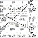 거문파군 수중작총 이미지