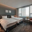 소노캄 고양 이미지