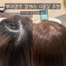 오캄헤어 - 포항시 북구 우창동로55번길 19 | [서울/용산] 뿌리염색 잘하는 미용실 추천 후기🤎 | 오캄헤어