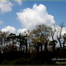 월산3리 이미지