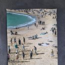 감포은정아구 이미지