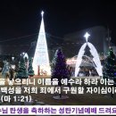 2021 12 25 성탄기념예배 소망의 기도문 이미지