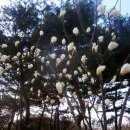 서울숲4 이미지