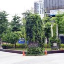 수창공원 이미지