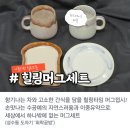 사계절공정여행