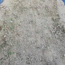 사과랑 고추랑 이미지