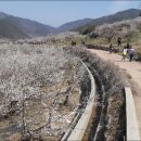 원동문화체육센터 이미지