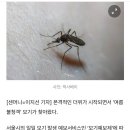 모기 이미지