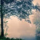 해변의 바람 이미지