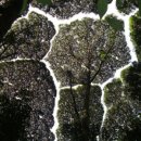 중랑구 환경교육센터 이미지