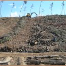 사계절산장 이미지