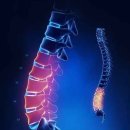 척척의원,한의원 이미지