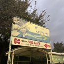 별수산 | 노량진 수산시장 <해태광주> 별 97929191개 내돈내산 후기