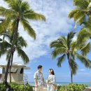 (주)원렌트카 서산영업소 | # 2026년 3월 : 하와이 신혼여행 - 정보 기록!