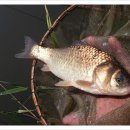 활주로낚시터 이미지