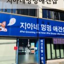 지아네멍멍애견샵 이미지