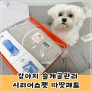 펫플러스라이프 | 네이버 펫 바우처 고가템 쇼핑! 강아지 슬개골 관리템 <시리어스펫 따땃패드> 구매 후기!