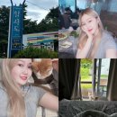 알사도 | 가평 촌캉스 숙소 알사도 펜션 / 장점,단점 내돈내산