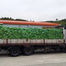 동희농장 이미지