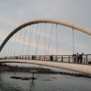 중앙올리브