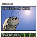 개미와배짱이 이미지