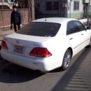 크라운덴트 이미지