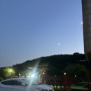 어린왕자스파애견펜션 이미지