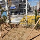 운서초등학교 이미지