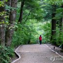 선정공원 이미지