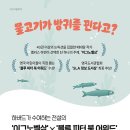 [북극곰] 하버드 이그노벨상이 증명하는 창의적 사고의 힘_물고기가 방귀를 뀐다고? 이미지