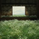 행운마차 이미지