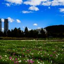 태화강국가정원 이미지