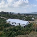 매일2농장 이미지