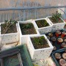 화 농장 이미지