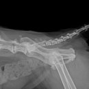 강북동물병원 이미지