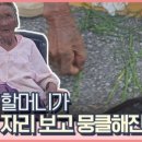 채소노점 네이버블로그