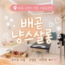 배곧 | 배곧 냥스살롱 후기｜11살 고양이 무마취 미용, 드디어 마음 놓인 곳