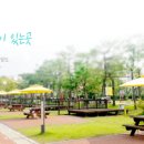 속초해변 국민여가 캠핑장 이미지